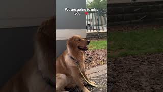 I Wish You Could Stay