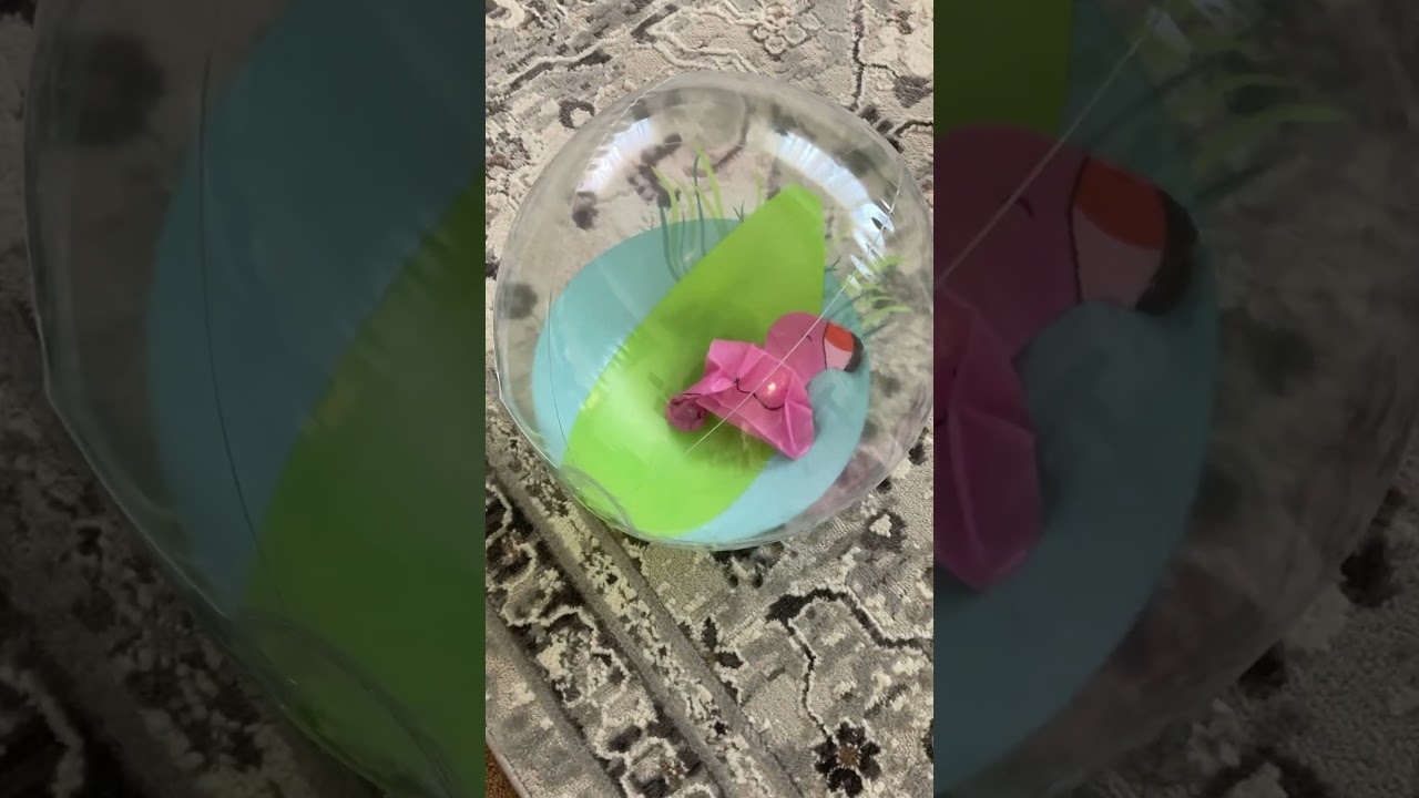 Flamingo beachball 🦩