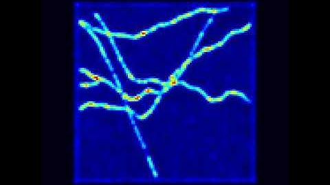 GMcellModel - fluorescent molecules randomly moving in cytoplasm transiently bind to filaments