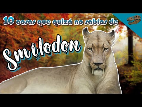 10 Cosas que quizá no sabías de: SMILODON