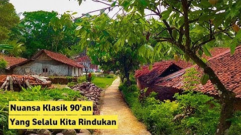 🔴 Suasana Pedesaan Di Pagi Hari, Bikin Damai | Desa Indah di Jawa Tengah. desa Mberan