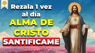 Oración ALMA DE CRISTO Santifícame  Para REZAR a Diario   Caminando con Dios