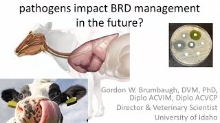 BRD Symposium 2014: Dr. Gordon Brumbaugh screenshot 2