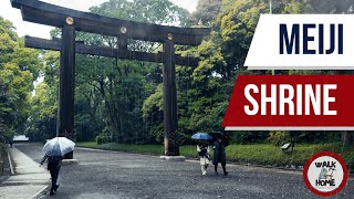 ASMR Relaxing Rain Walk | Umbrella & Natural Ambience Sound | Meiji Shrine 明治神宮