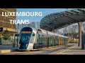 Luxembourg trams  2024