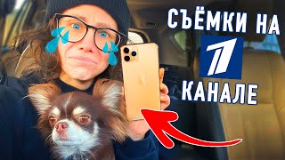Я и моя собака на Первом Канале! Юми укусила собака! Украли Айфон! Как все устроено на телевидении? Я и моя собака на Первом Канале! Юми укусила собака! Украли Айфон! Как все устроено на телевидении?
