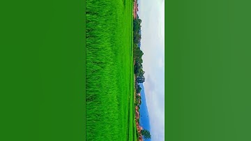 Kathmandu Nepal (trivuwan university)