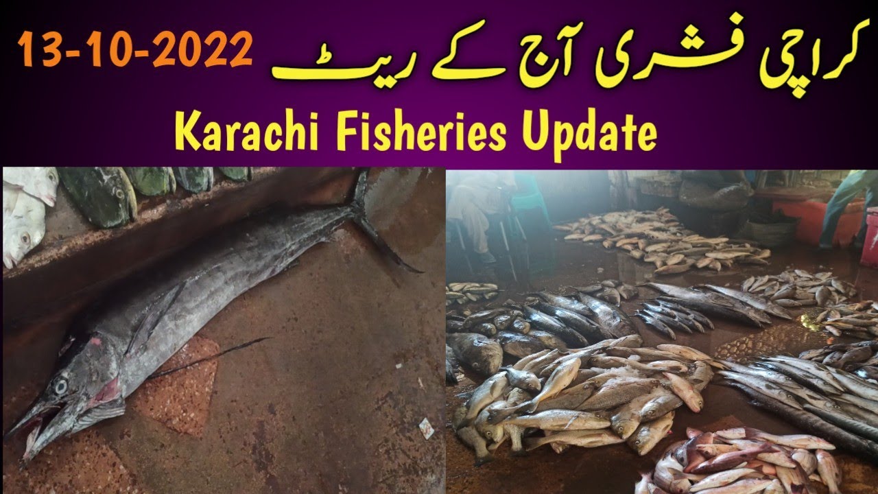 Karachi Latest Fish Rates 131022 کراچی فشری آج کے ریٹ fishrates 