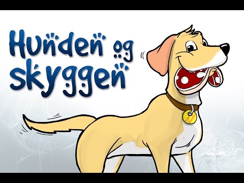 Video: Hundeskygge og køleprodukter