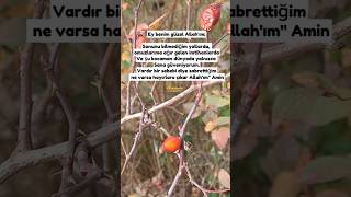 Vardır Bir Sebebi Diye Sabrettiğim Ne Varsa Hayırlara Çıkar Allahım