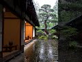 Rain &amp; Piano by Twisted Pine Courtyard Summer Rain for Sleep &amp; Study