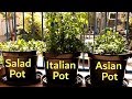 How to Grow a Vegetable Garden on a Balcony | Growing in Small Spaces Ep3 S1