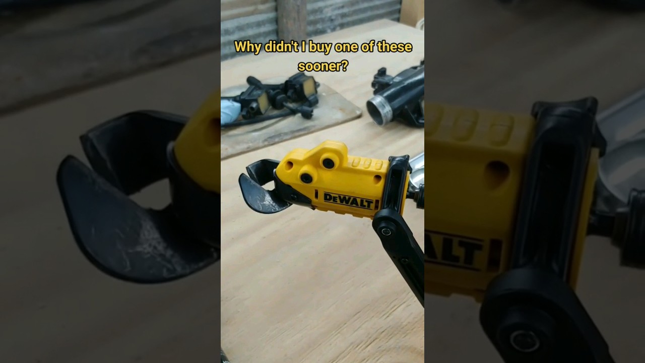 DeWalt Tin Snips 