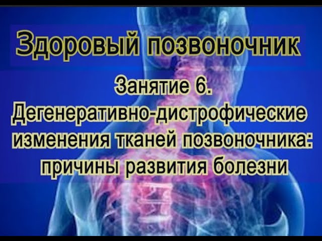 Занятие 6. Больной позвоночник: причины его разрушения.
