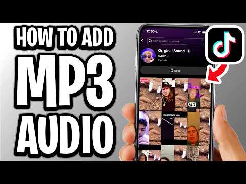 Mpt3 Tiktok