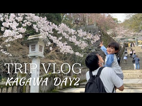 家族で香川旅Part2🚗こんぴらさんの長い階段を登ろう！金刀比羅宮奥社まで行けるかな！？｜2023年3月（2歳2ヶ月）