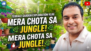 Peaceful Terrace View 🌿 | Neem Tree &amp; Garden Vibes | Nature Therapy #terracegarden #vlog #gardenvlog