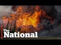 Climate Change and Wildfire Dynamics Across the Globe