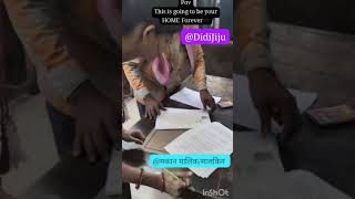 They Bought *HOUSE*😍#house #home #firsthome #happiness #family #ghar #love #emotional #shorts #flat