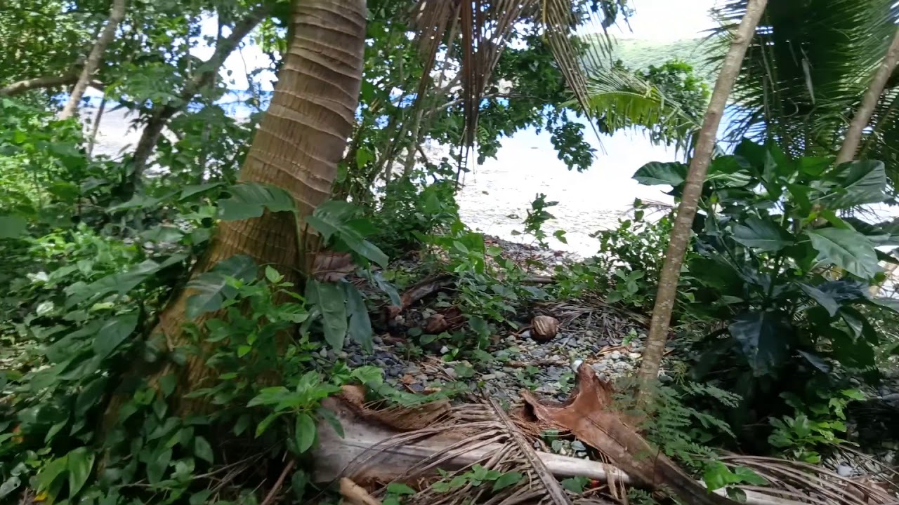 Trail Sa Banog YouTube