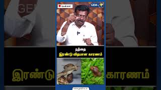 நதத இரணட வதமன கரணம African Snail Science World Biolagy Cm Stalin Miraccle Gem Tv