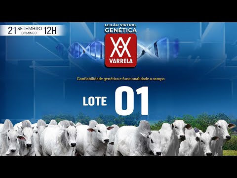 LOTE 01   GCL 5615