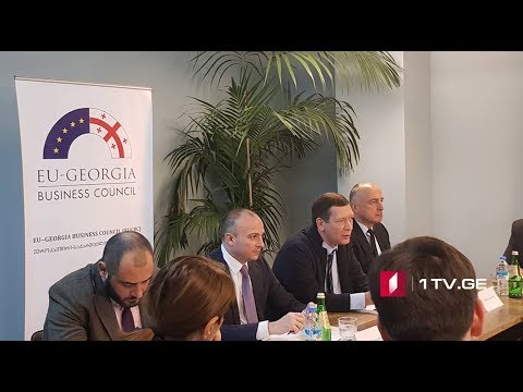 ზურაბ ალავიძე ევროკავშირ–საქართველოს ბიზნესსაბჭოს წევრ კომპანიებს შეხვდა