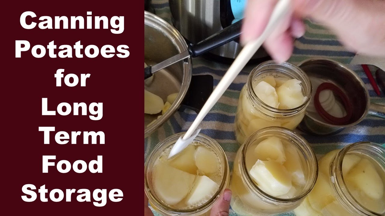 Как консервировать картофель под давлением для длительного хранения | Консервирование картофеля в...