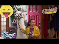 Какво ви чака в нормално училище | Слушай публиката | Disney Channel Bulgaria