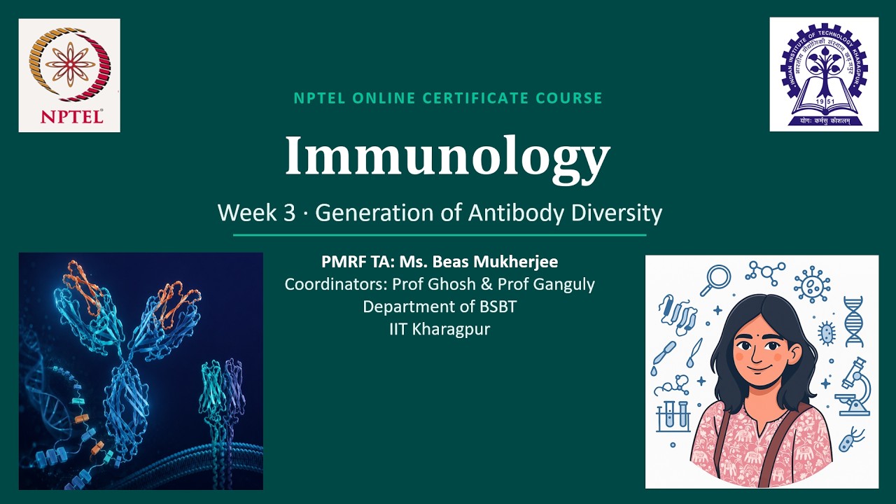 Generation of Antibody and TCR Diversity | V(D)J Recombination | Week 3 | NPTEL immunology 2026