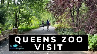 Queens Zoo NYC Visit During Covid19