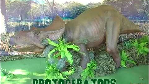 Mesozoic Ido: Protoceratops (Week 14)