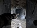 We Found A Sealed Sarcophagus… You Won't Believe What I Found Inside. #Archaeology #ancienthistory