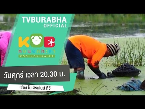 กบนอกกะลา : เรื่องแห้วที่ไม่แห้ว ช่วงที่ 2/4 (15 พ.ค 58)