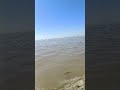 ADVANCED SKILL INDIA is live! Brahmaputra River , Assam India