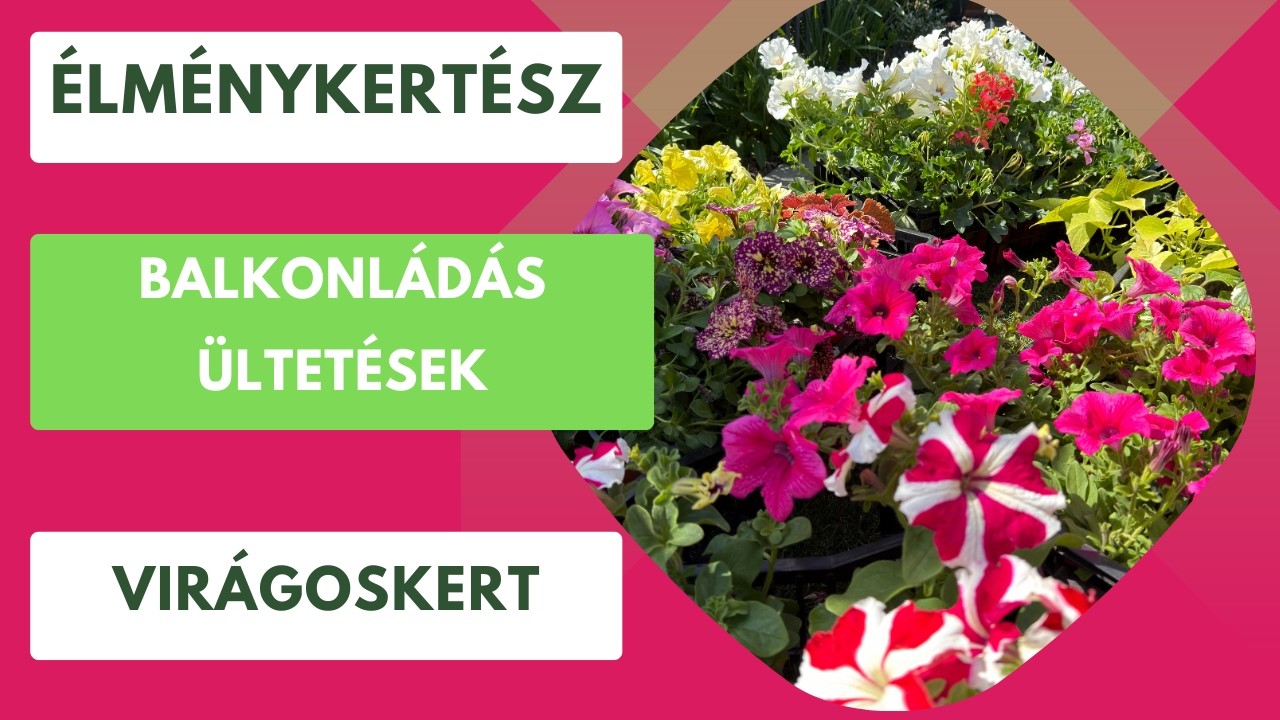 Miért fontos a balkonládák és kaspók földje?🌸🌼