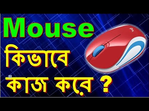 ভিডিও: ধূসর মাউস হও! নাটালিয়া রুদোভা যারা তার খাঁটি ফটোগুলি নিয়ে সমালোচনা করেছিলেন তাদের জবাব দিয়েছেন