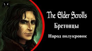 Бретонцы, эльфийская кровь в человеческом теле I The elder scrolls Lore-2