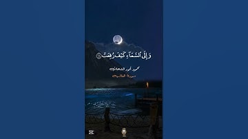 #قرآن #سورة_الغاشية #محمود_الشحات_انور #الحمدلله #اكسبلور #تلاوة_خاشعة #راحة_نفسية #fyp #foryou #90s
