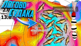 Нашли ЛОГОВО СУДАКА, ТОП  МАНДУЛА Косит все подряд, Рыбалка на судака