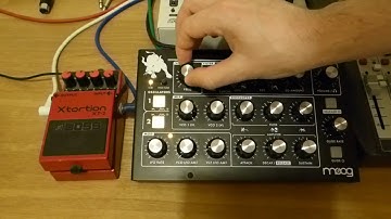 Moog Minitaur & Boss XT2 Xtortion
