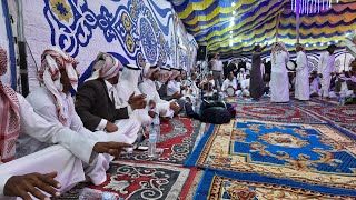 #افراح دهب2 / فرح سميح ابو حامد... .Bedouin wedding