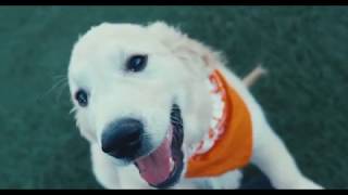 Chuckit! National Fetch Day 2019 at Bar K