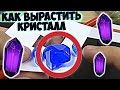 ЧТО С КРИСТАЛЛАМИ? ВЫРАЩИВАЕМ МНОГО НОВЫХ КРИСТАЛЛОВ