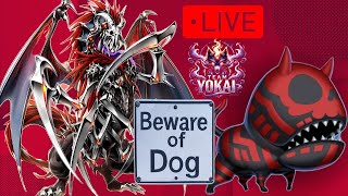 YUGIOH | The Doom Dog of REGENESIS?! | TEAM YOKAI
Testing techs for Regenesis ! YUGIOH | The Doom Dog of REGENESIS?! | TEAM YOKAI