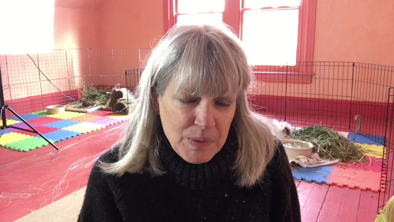 pets bd Why buy from us?