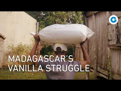 The Dark Side of Vanilla: The Fight for Madagascar's Brown Gold | Full Documentary