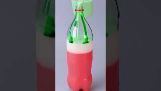 Fantastic Watermelon Jelly Bottle #Shorts
