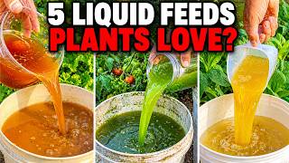 Even Dead Plants Come Back to Life! 5 Natural Fertilizers That Work Instantly screenshot 4