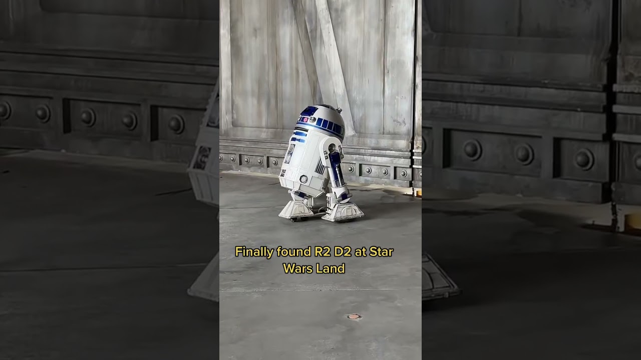 Finally found R2-D2 at Star Wars land!